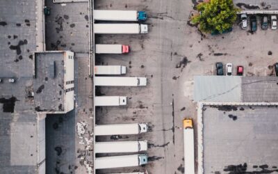 Bulk Up Your Business