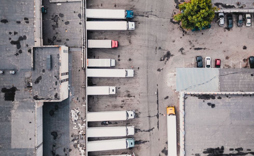 Bulk Up Your Business
